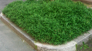 20160920B.jpg
