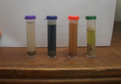 20171010D Lynette, Flickr.jpg