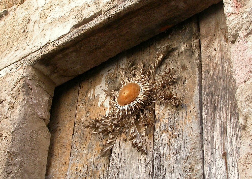 20180206D Fritz Geller-Grimm, WC .jpg