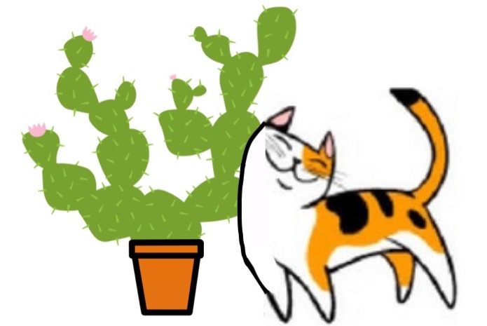 Quand un chat a frôlé un cactus, qui s’y frotte s’y pique!