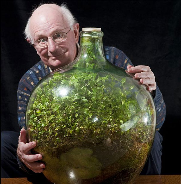 Le deuxième plus vieux terrarium du monde?