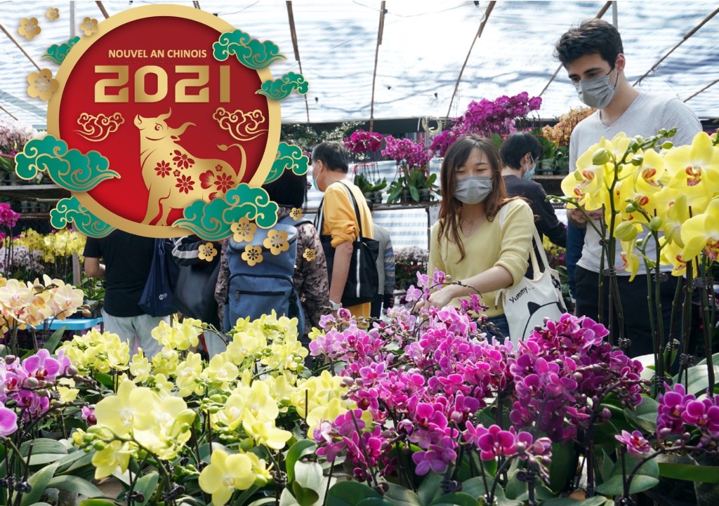 Des Hongkongais achetant des fleurs au marché pour l’Année du Buffle 2021. Médaillon Bonne année 2021 superposé.