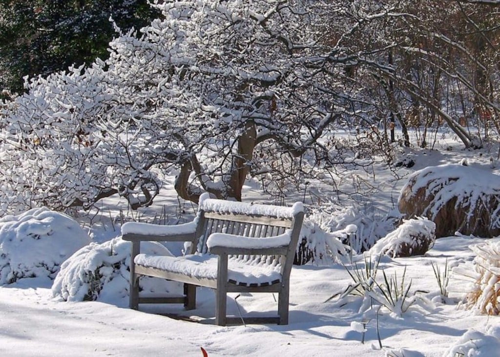 Jardin en hiver, couvert de neige, avec un banc