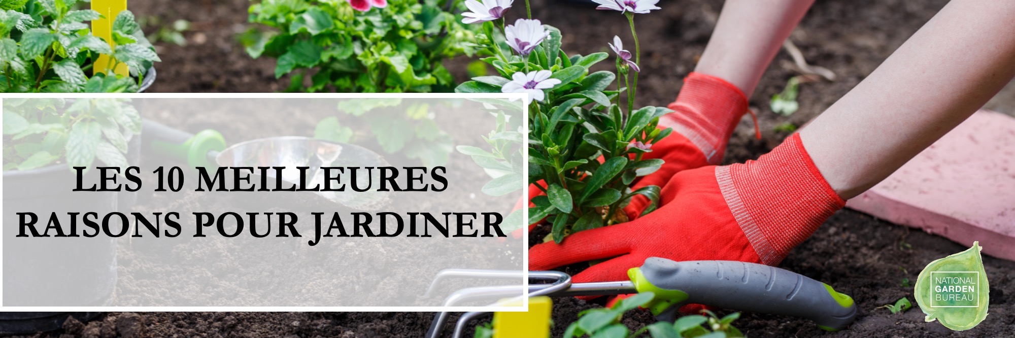Les 10 meilleures raisons pour jardiner