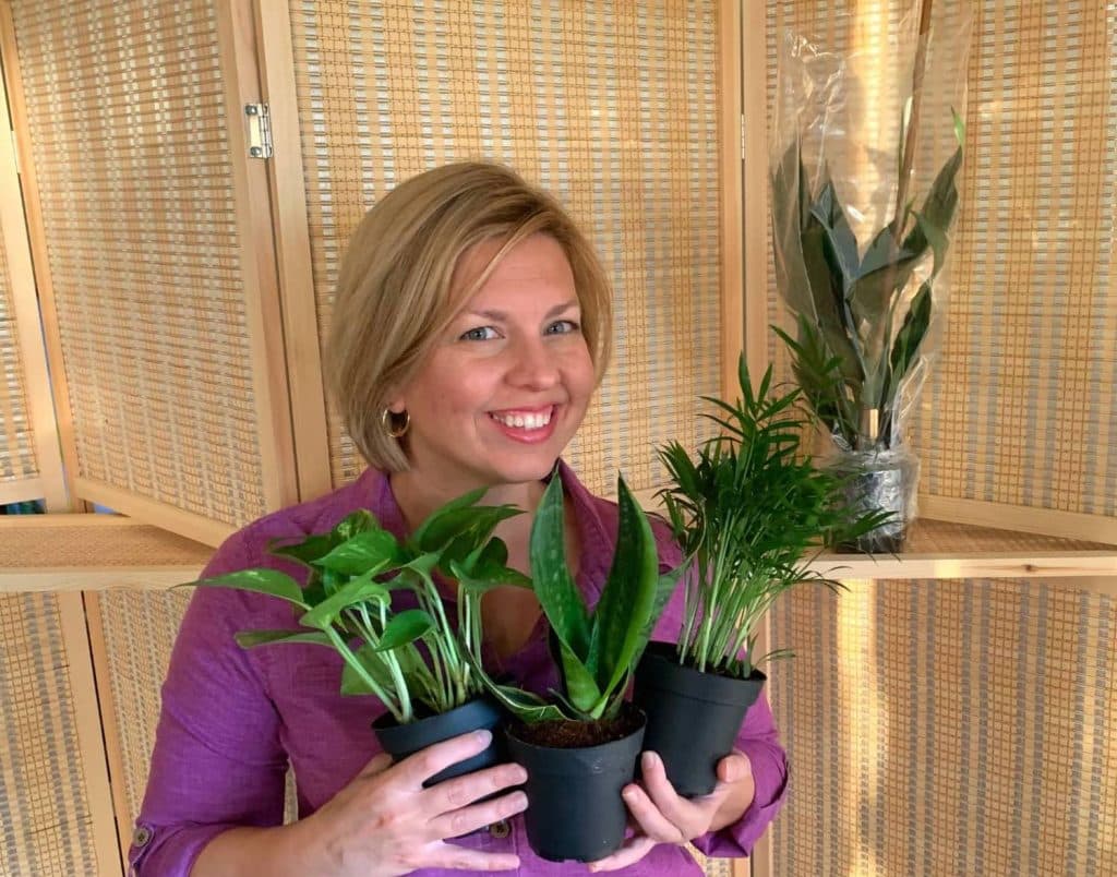 Femme tenant trois nouvelles plantes d’intérieur dans ses mains.