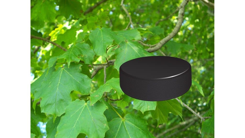 Rondelle de hockey placée devenant des feuilles d'érable.