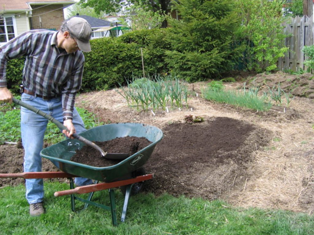 Homme qui pellette du compost à partir d'une brouette.