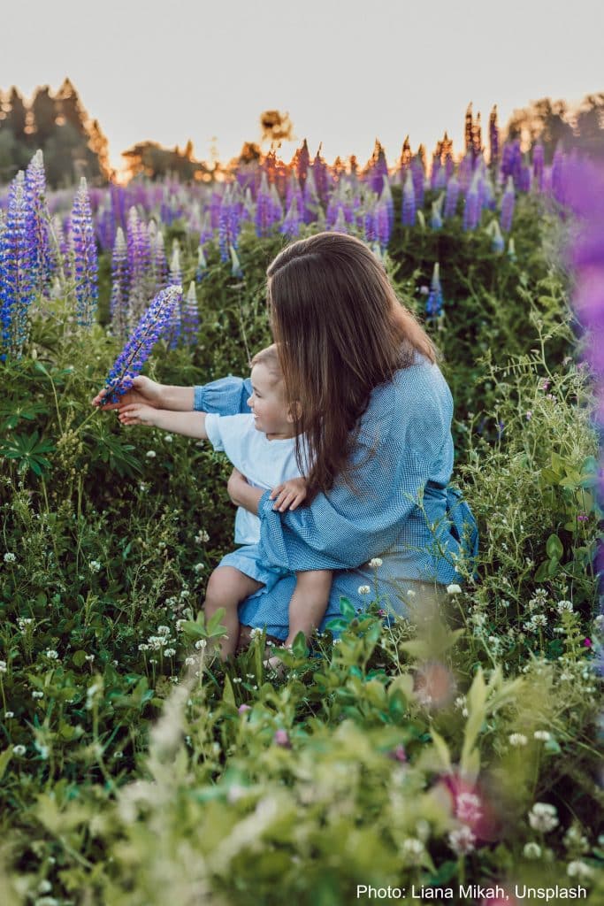 Femme et bébé dans un champ de lupins.