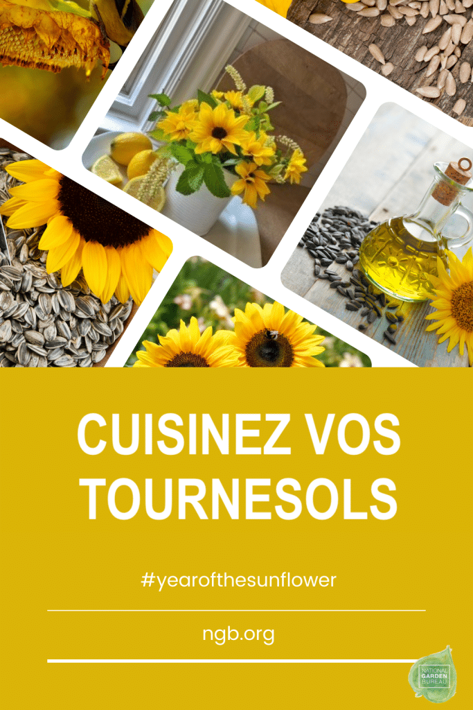 Plusieurs photos de tournesols utilisés en cuisine.