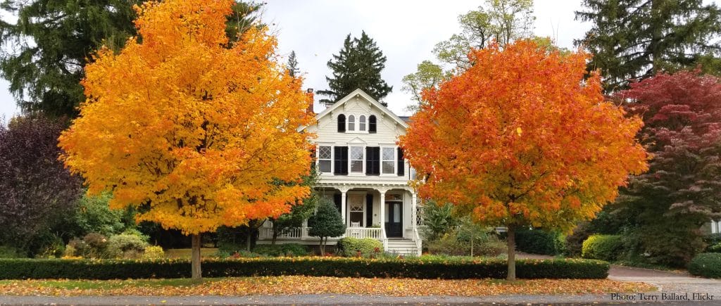 Maison à l'automne avec arbres à feuilles orange.