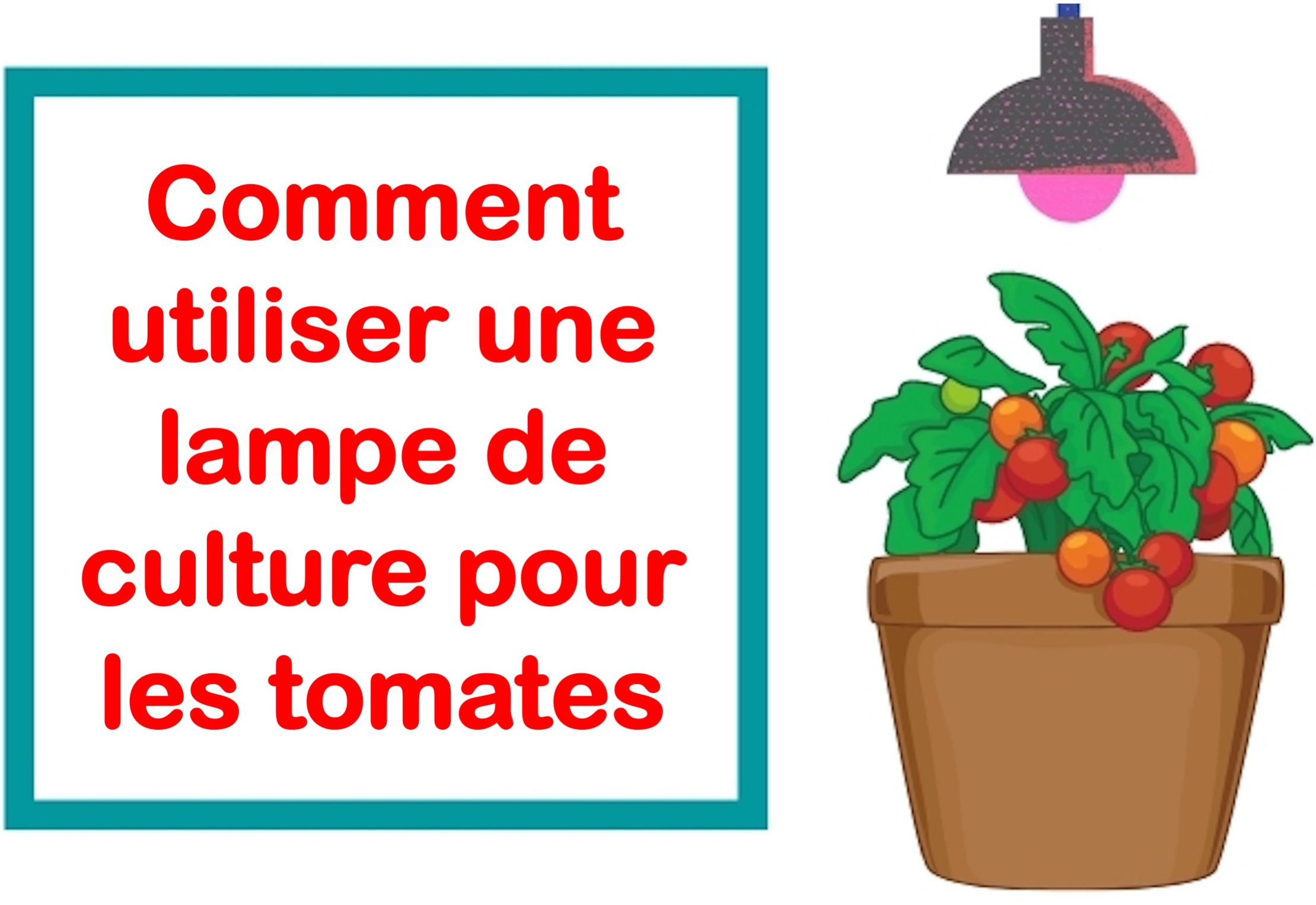 Comment utiliser une lampe de culture pour les tomates