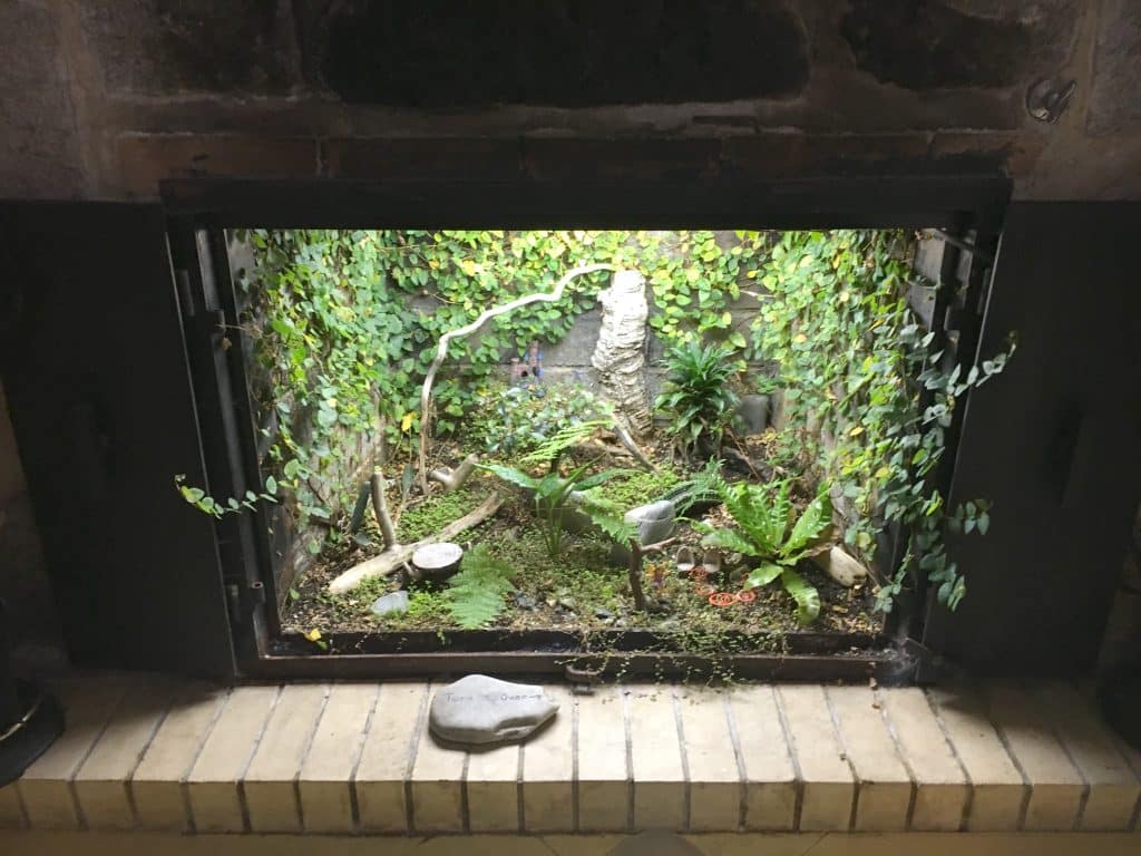 Foyer transformé en jardin