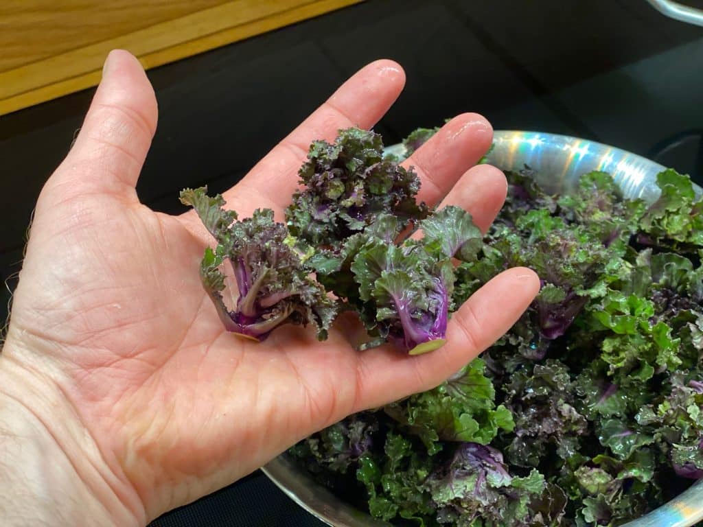 Main tenant 3 kalettes.