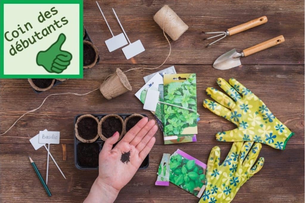 Outils et produits de semis intérieur