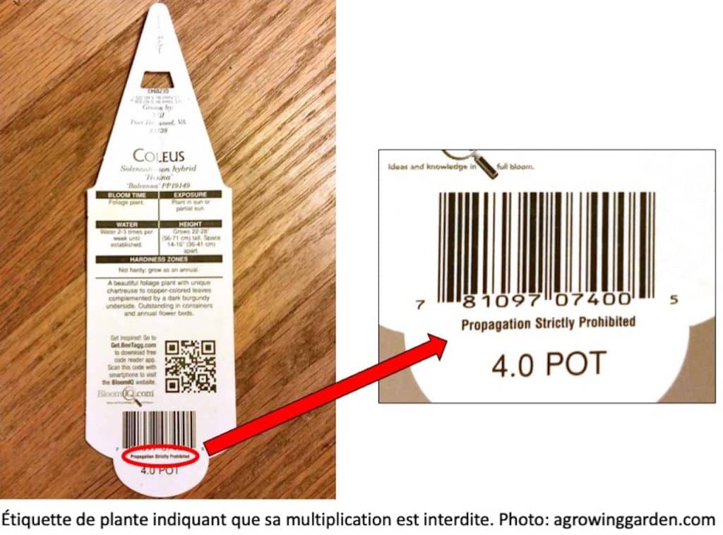 Étiquette avec indication Propagation strictly prohibited.