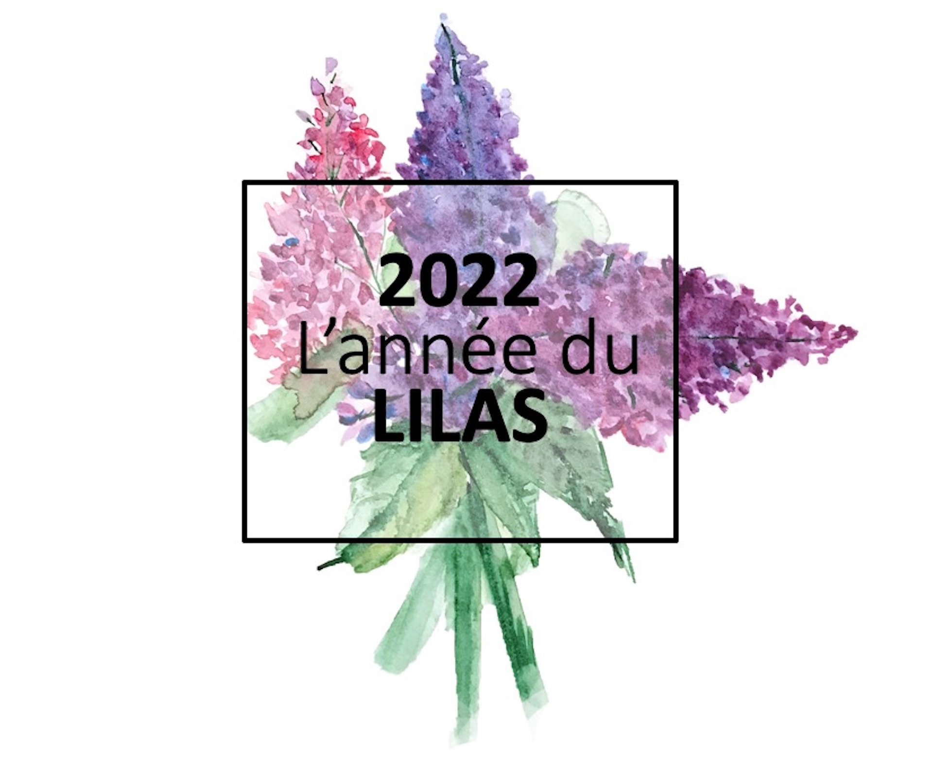 Aquarelle de fleurs de lilas marquée 2022, année du lilas.