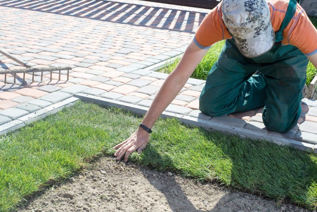 Homme posant du gazon.