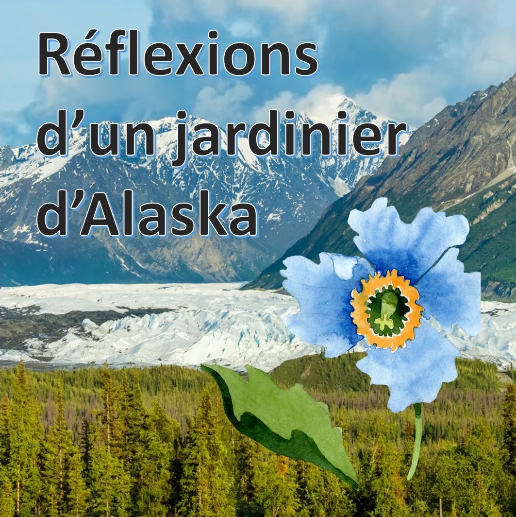 Réflexions d’un jardinier d’Alaska