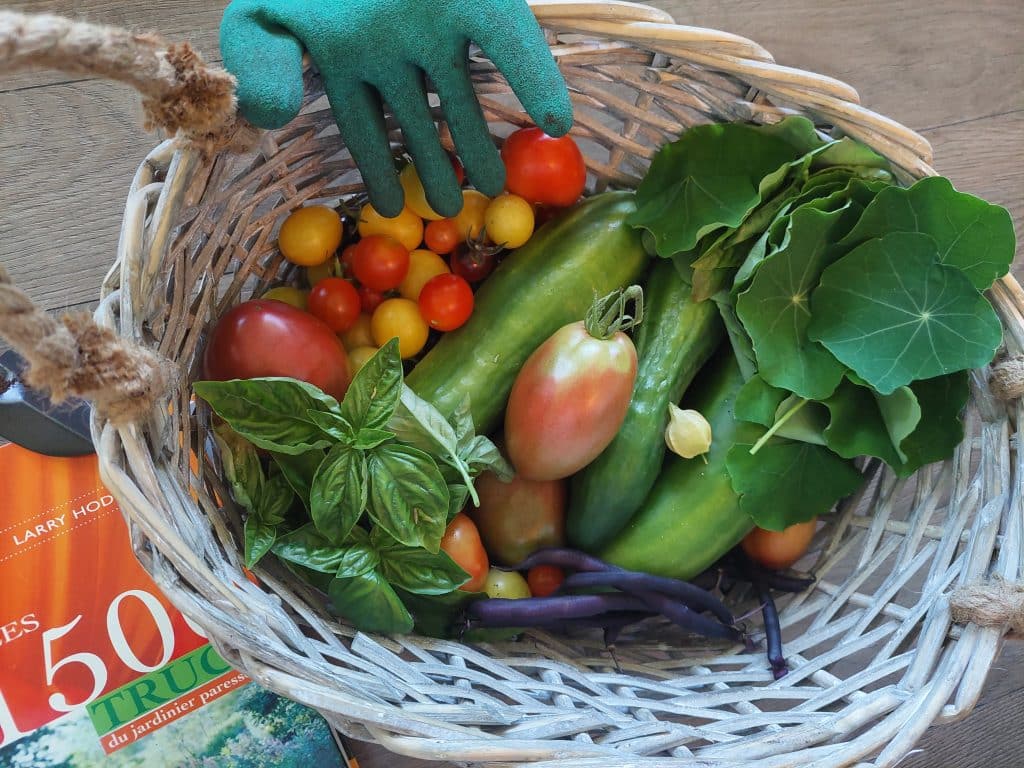 Recolte de seconde année.