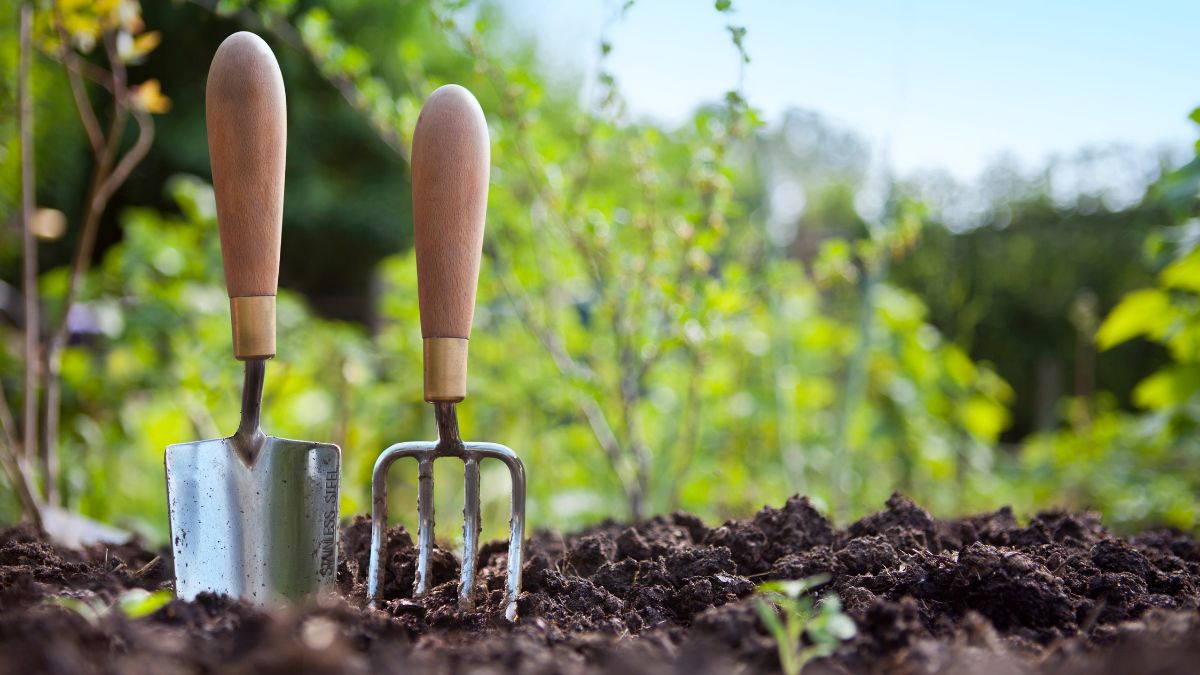 Conseils pour les amateurs de jardinage