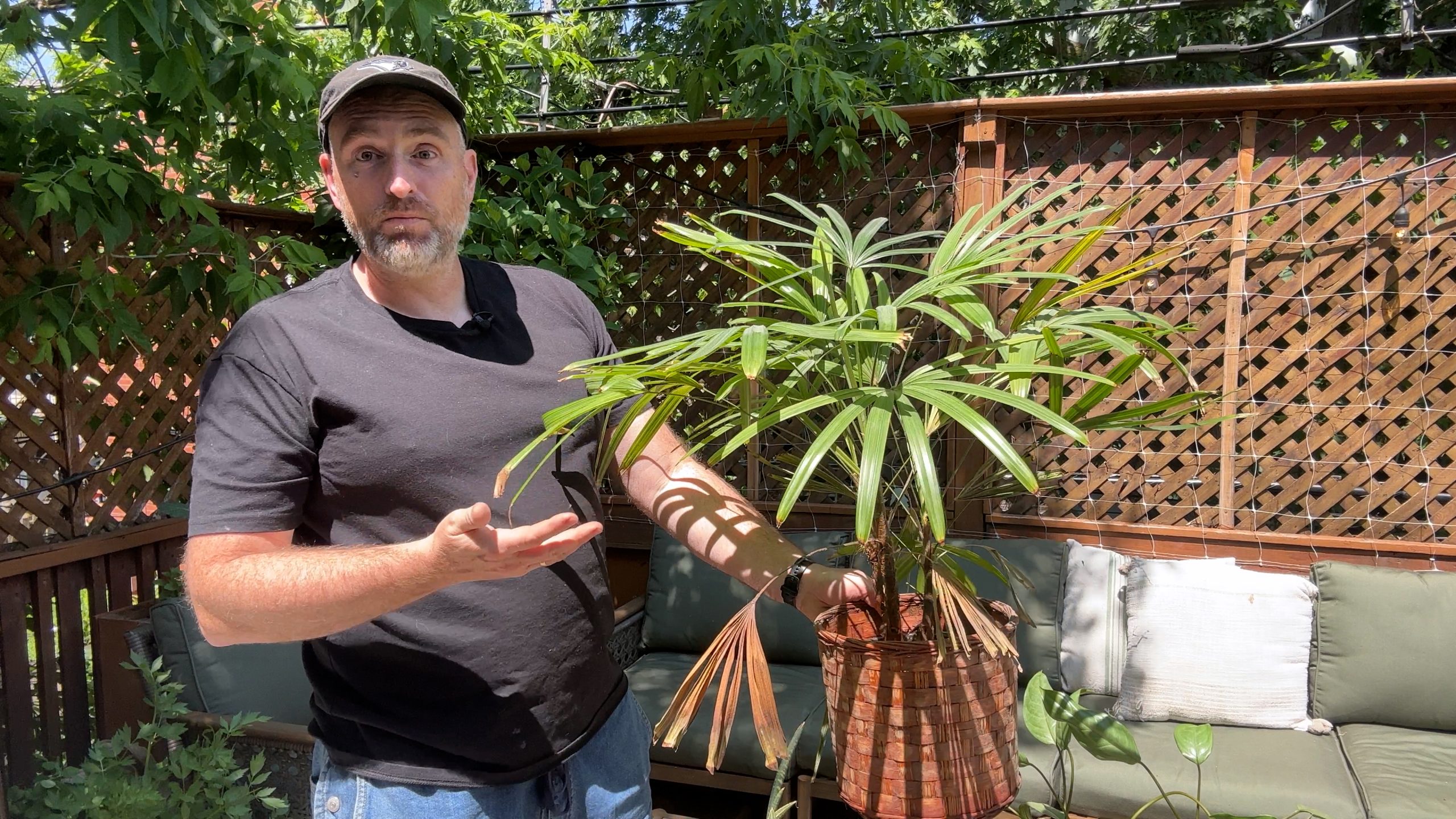 Vendredi vidéo: Sortir ses plantes d’intérieur pour l’été