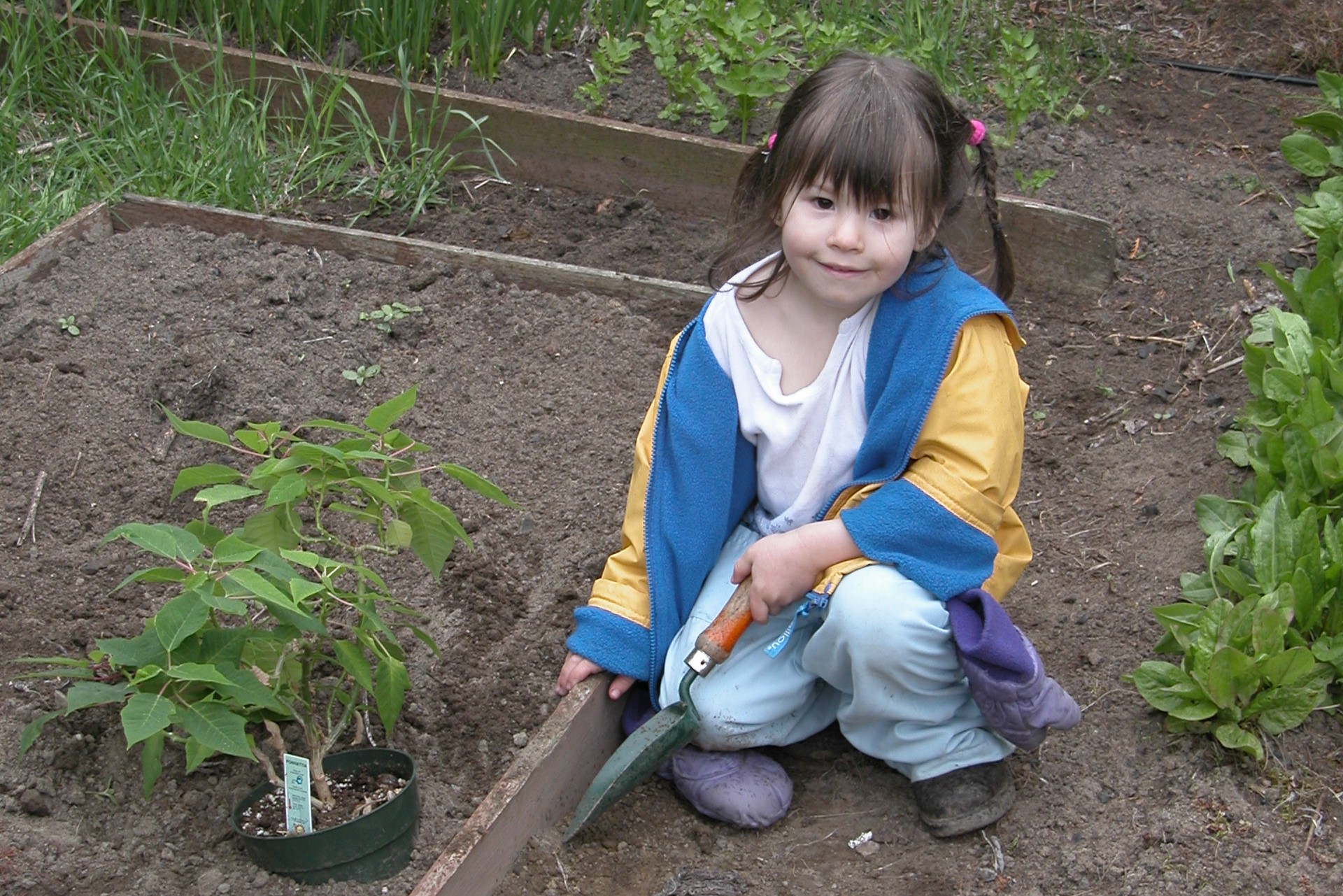 L’ABC du jardinage avec les enfants