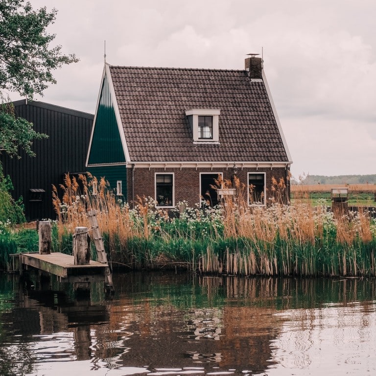 Bande riveraine: faucher ou ne pas faucher?