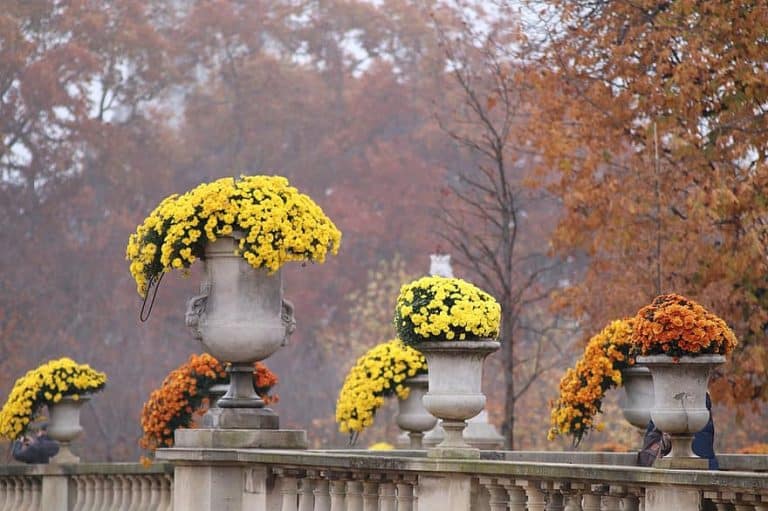 Comment hiverner les pots sur un balcon?