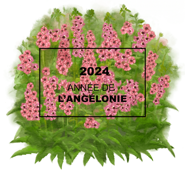 2024: l’année de l’angélonie