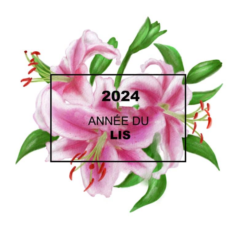 2024: l’année du lis