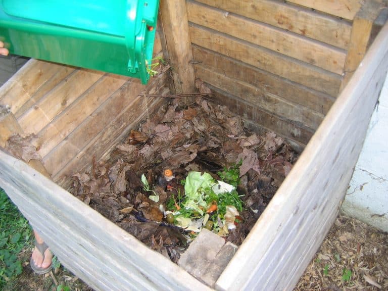 L’ABC du compostage domestique, 2e partie