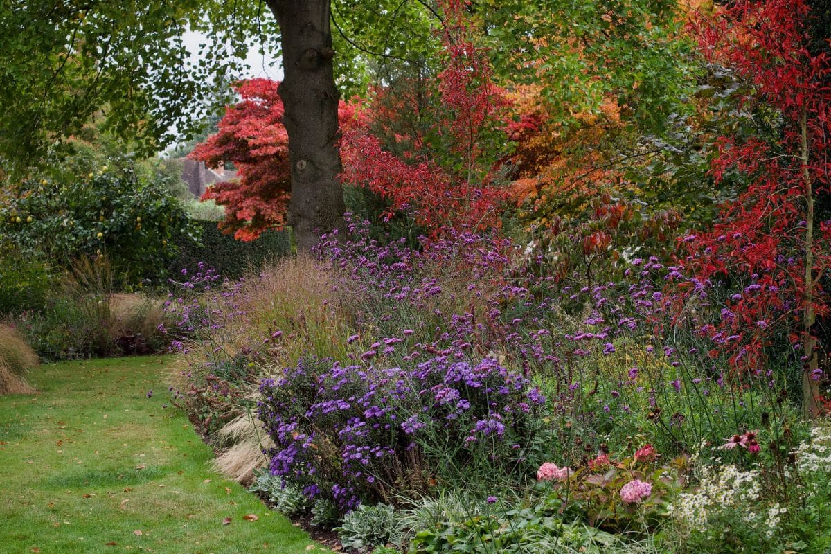 L’automne, la saison des récoltes et des réflexions
