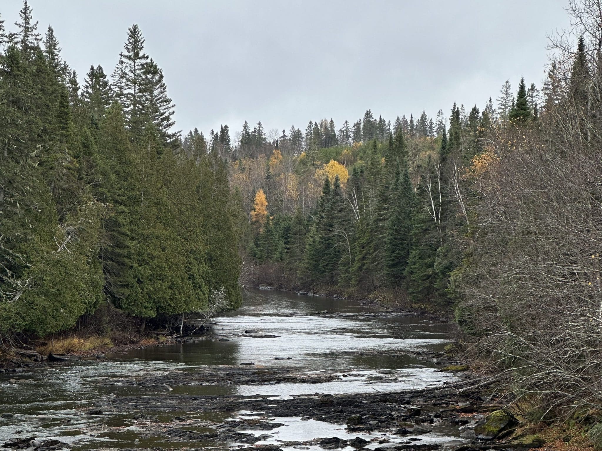 Nous sommes le Jardinier paresseux