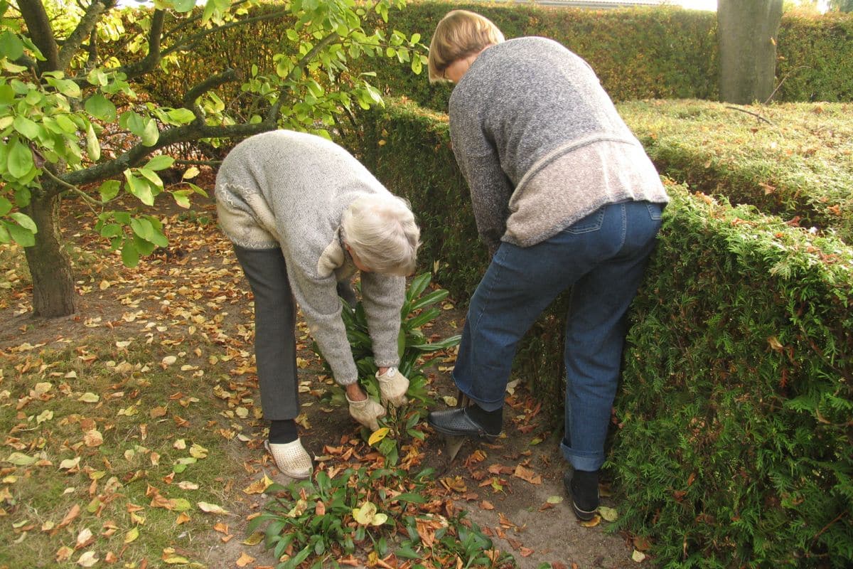 Cet automne, on paresse ou on travaille?