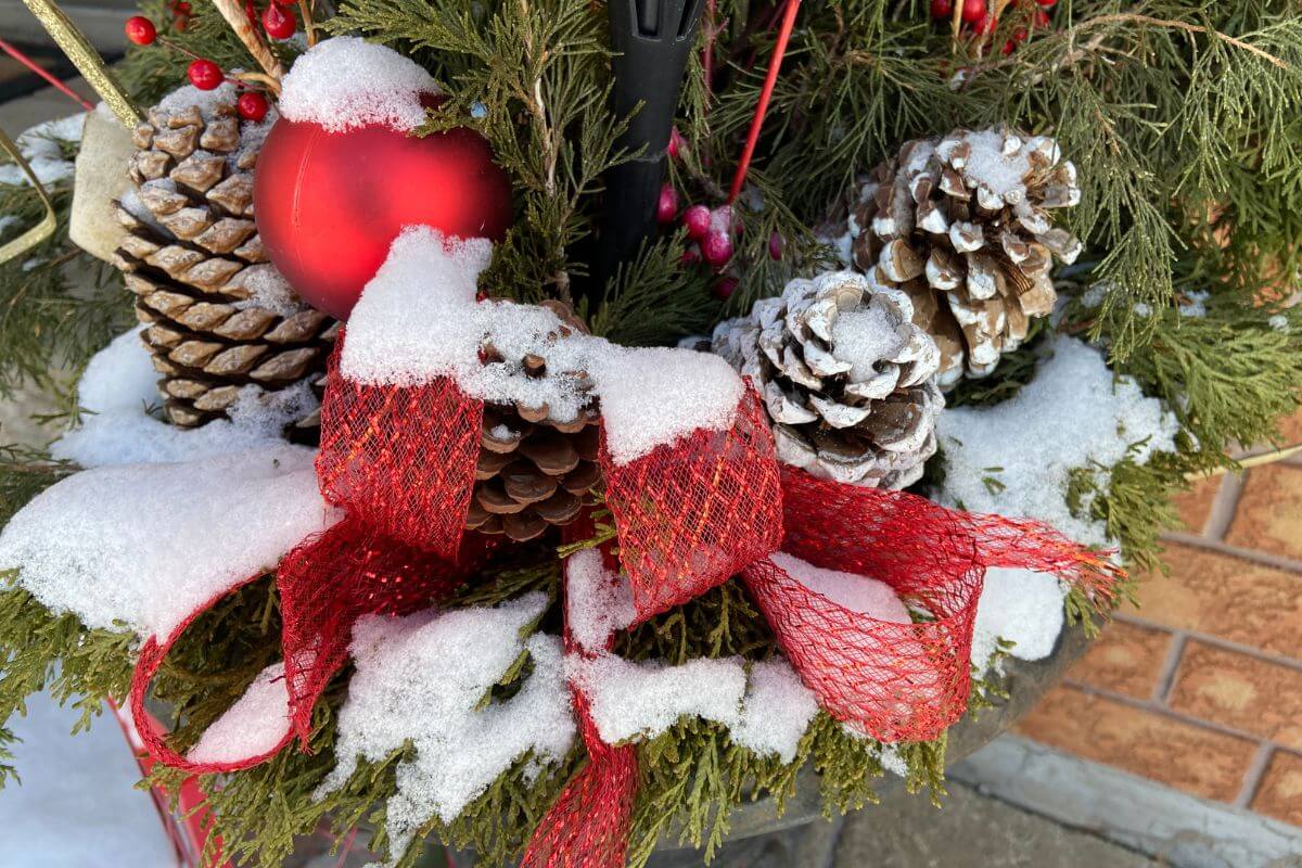 Quoi faire en décembre? Le calendrier du jardinier paresseux
