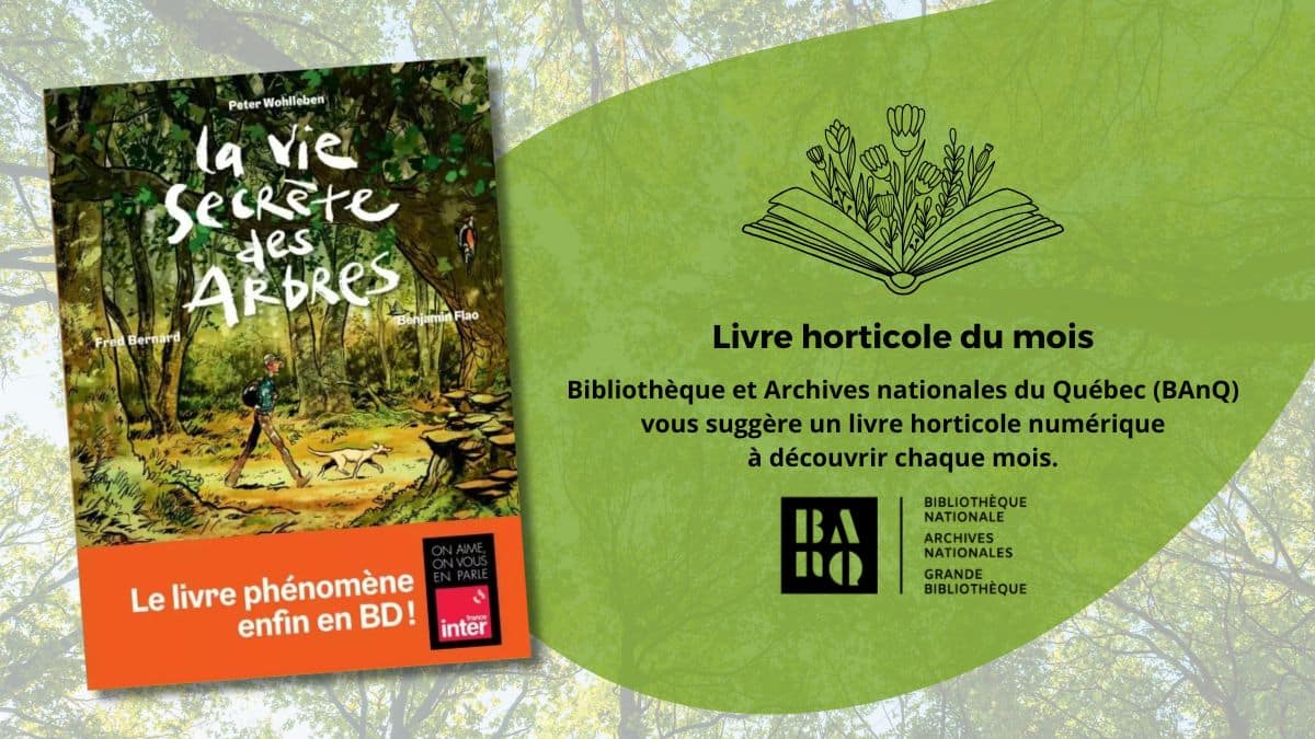 La vie secrète des arbres : livre horticole du mois de novembre 2025