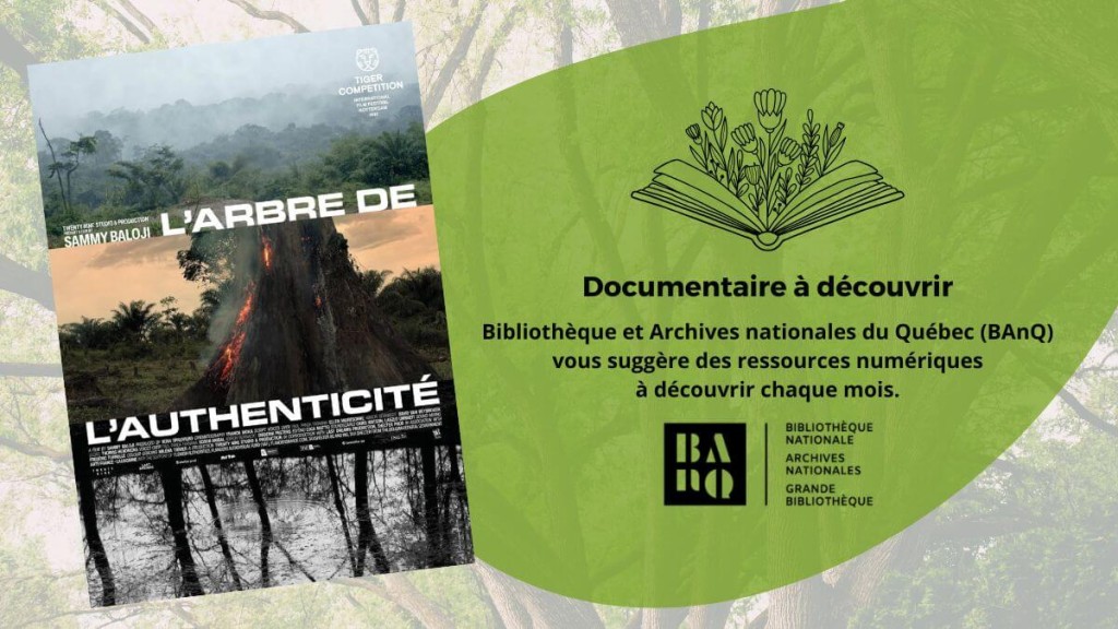 L’arbre de l’authenticité de Sammy Baloji