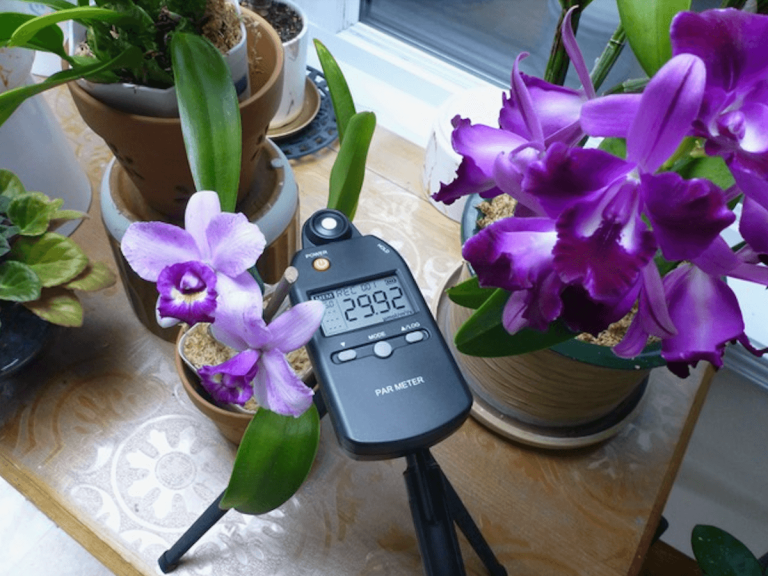 L&rsquo;éclairage artificiel des orchidées: sixième et dernière partie – La mesure moderne de l’éclairage artificiel!