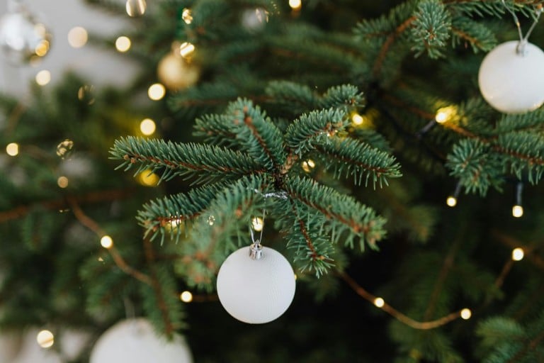 Que savez-vous de l’arbre de Noël?