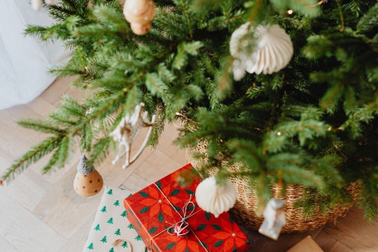 Mon beau sapin, qui est le plus vert et pur?