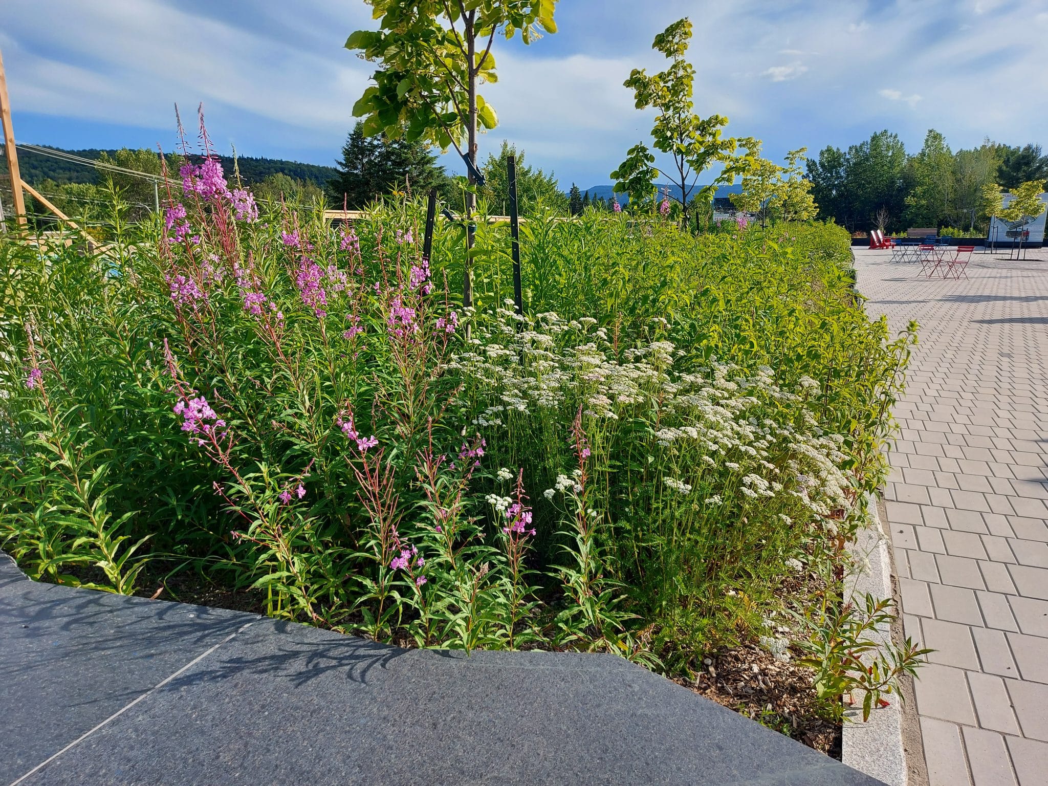 Un jardin résilient