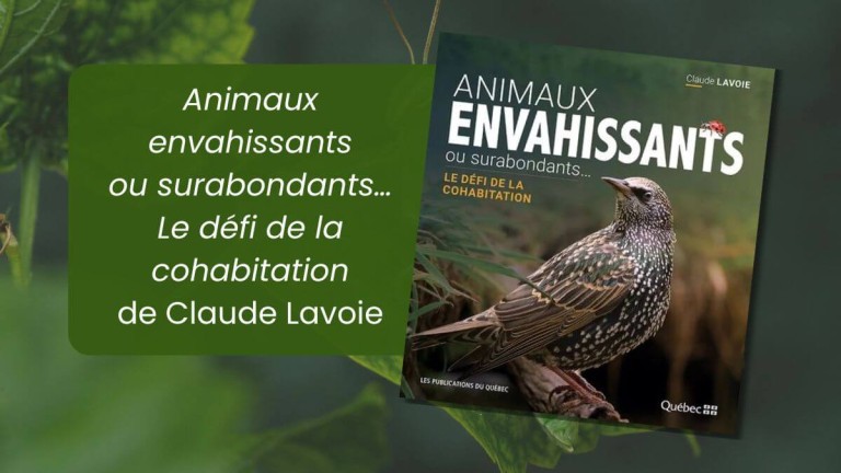 Livre : Animaux envahissants ou surabondants… Le défi de la cohabitation de Claude Lavoie