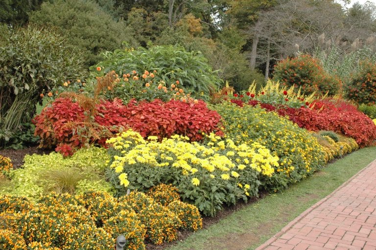 Un jardin qui affiche ses couleurs – Partie 1