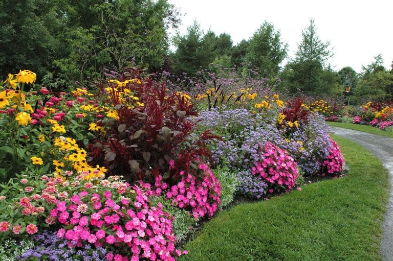 Un jardin qui affiche ses couleurs – Partie 2