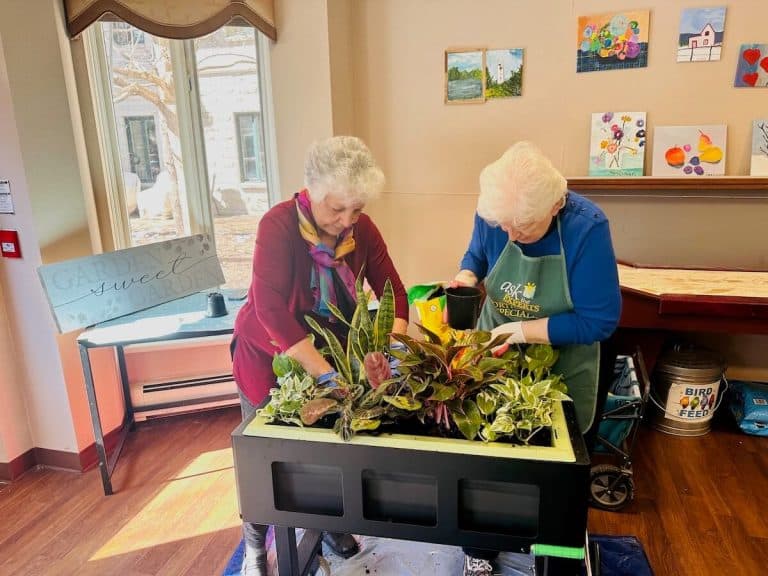 La créativité des plantes: art, nature et santé