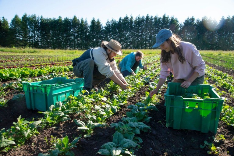 Qu’a-t-on en commun avec les paysans du monde entier?