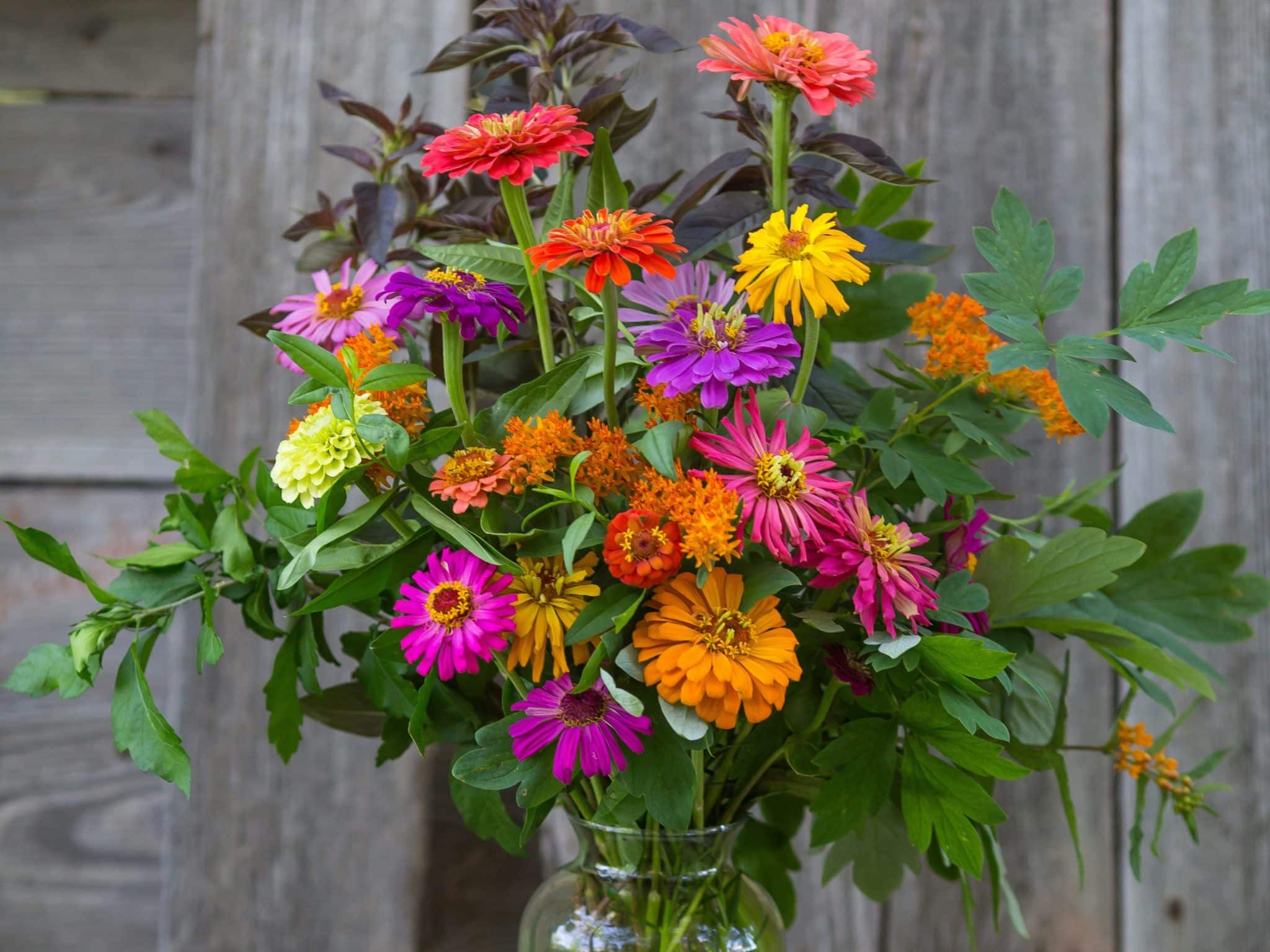 10 annuelles à faire pousser dans son jardin de fleurs coupées