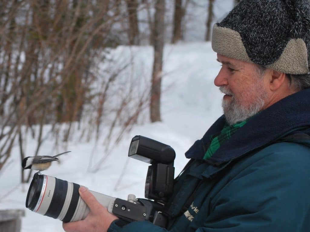 Photographie des oiseaux