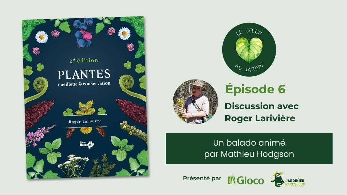 Balado Le cœur au jardin : Plantes, cueillette et conservation de Roger Larivière