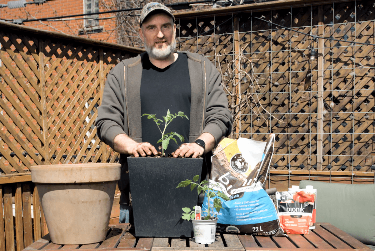 Planter des tomates en contenant sans se planter